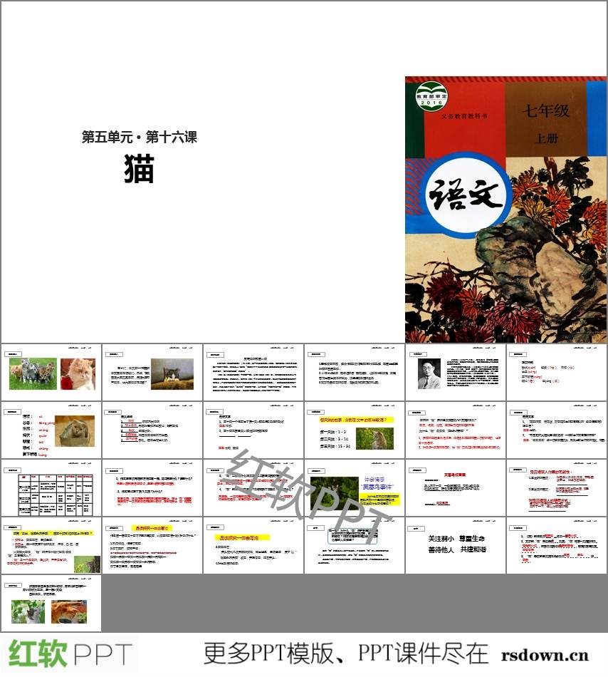 七年级上册语文课文ppt下载_PPT免费下载